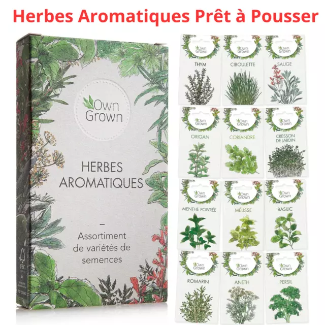 Graines d‘herbes aromatiques prêt à pousser, Kit 12 épices aromates à planter