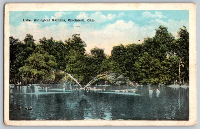 Cincinnati, Ohio OH - Lake Fountain - Zoological Gardens - Vintage Postcard