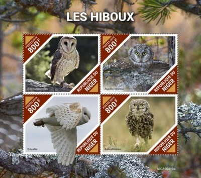 2019 Colibri Su Francobolli 4 Francobollo Foglio NIG190221a Niger 