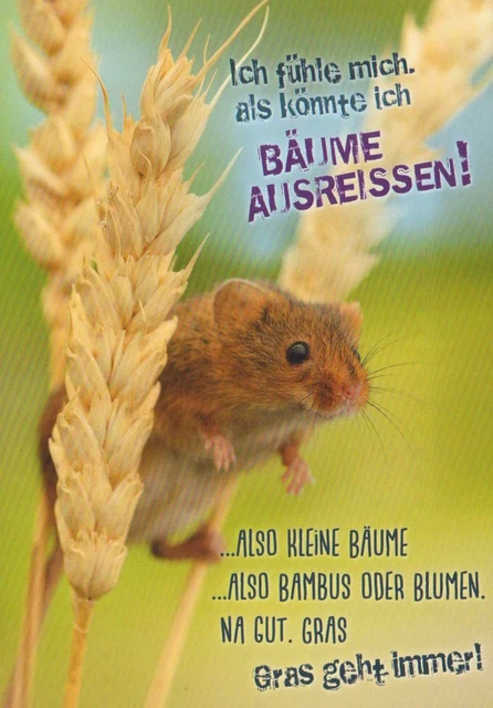 Postkarte lustig Spruch Gras geht immer