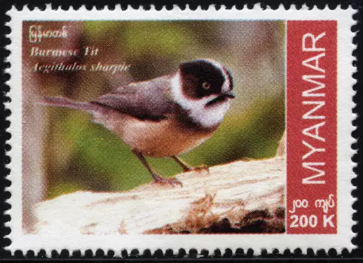 Myanmar Burma 2023 "Einheimische Vogelarten" Burmese Tit Bartmeise, MiNr neu