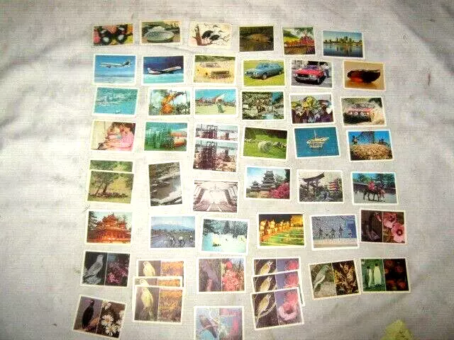 A Lot of 50 Ass't Vintage Shell Oil (3), & Weet-Bix (47) Project Trading Cards