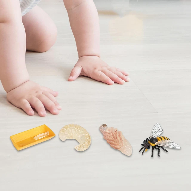 TRESORS- Jouets insectes Lot de 16 Cycle de vie du papillon abeille miel libellule et coccinelle TRESORS- Jouets insectes Lot de 16 Cycle de vie du papillon abeille miel libellule et coccinelle