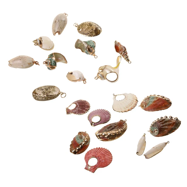 1x Muschel DIY Charme Schmuck Erkenntnisse Anhänger Perlen   Zufällig