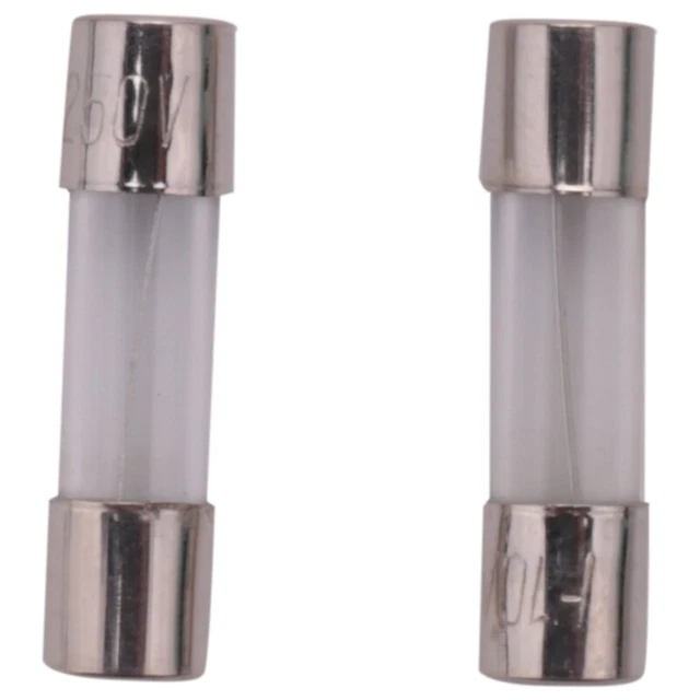 10 Pcs 250V 10 Amperes Coup lent Temporisation tuyau de Fusibles en verre 5mm L4 2
