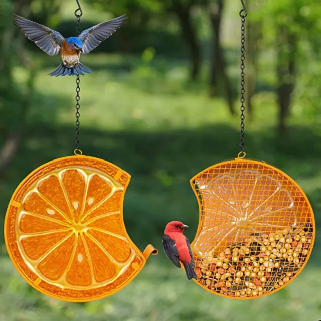 Outdoor Hanging Orange Shape Design Squirrel Proof Wild Bird Feeder 7x2x6.7 in