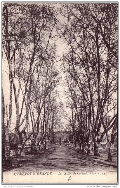 33 SAINTE FOY LA GRANDE - Un coin des allees de coblentz