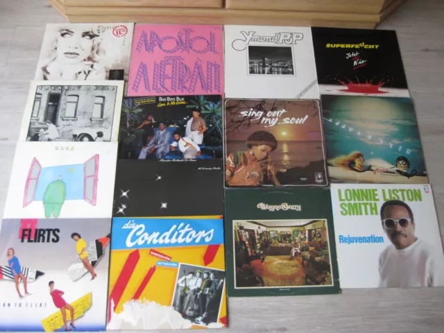 Schallplattensammlung 14 x LP's Rock/Pop  80er Jahre.