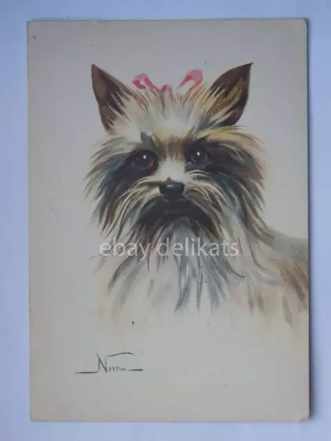 CANE dog Grifoncino Yorkshire Terrier Norfini old postcard vecchia cartolina *