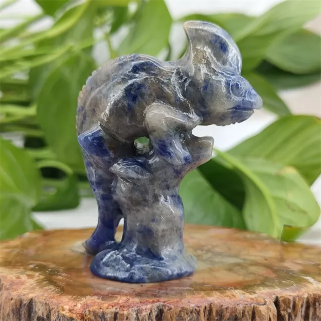 TOP!!! 2.4" Natural Sodalite Carved Chameleon Quartz Crystal Skull gift 1pc 2