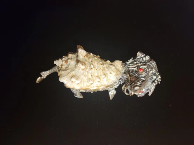 Aurelio Teno, Silver Sea Shell with Coral accent Ram Sculpture, the 1950s