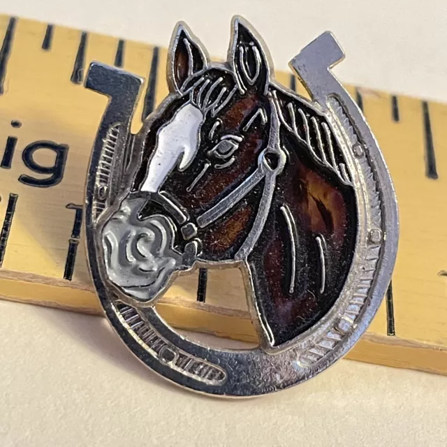 Brown Horse Head In Horse Shoe Enameled Silver Tone Metal Pin 6/8” W And 1” High