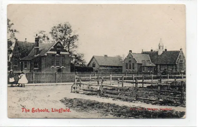 THE SCHOOLS, LINGFIELD: Sussex postcard (C77479)