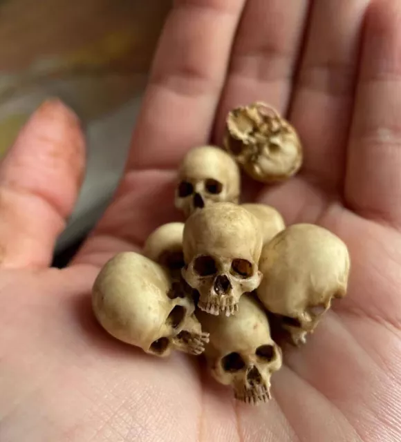 20pcs Mini Skull Resin Ornament Plant Terrarium Reptile Cave Fish Tank Decor