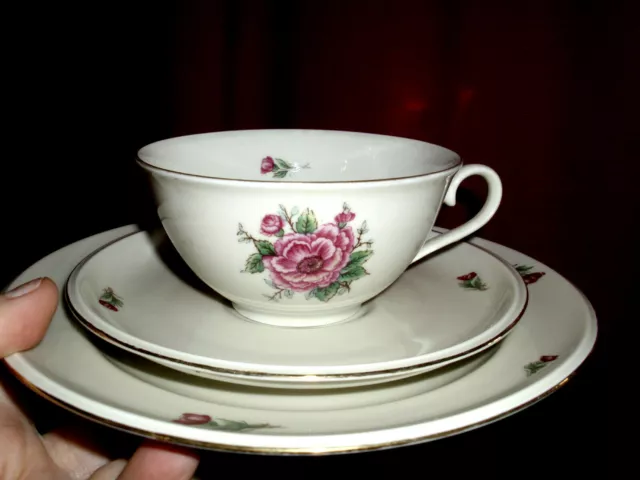 C.T. Hutschenreuther Arzberg "IRIS" Rosen 1 Tee-/Kaffee-Gedeck / Sammel-Tasse