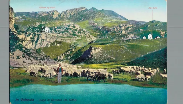 Vercelli Valsesia lago di Baranca pascolo pecore  F. piccolo  spedita