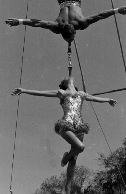 Antique Circus Sideshow Photo 1204b Oddleys Strange & Bizarre