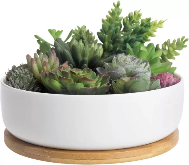 MyGift 8 Inch White Ceramic Round Succulent Planter Pot with Bamboo Saucer Tray