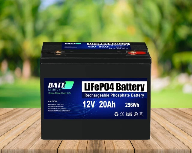 12V 20AH LIFEPO4 Akku Lithium Batterie mit BMS Solar für Wohnmobil Boot