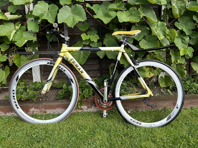 Teman hybrid bike on sale