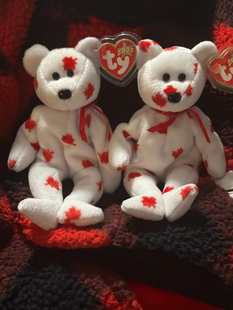 TY BEANIE BABY CHINOOK BEAR (Canada Exclusive) (8.5 inch)MWMT A PAIR ACTUAL PICS