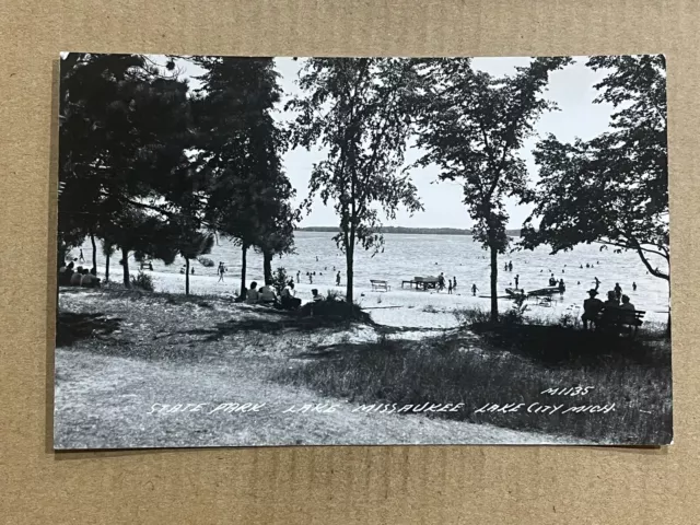 Postcard RPPC Lake City MI Michigan Lake Missaukee Beach State Park Vintage PC