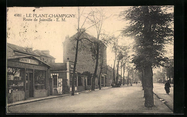 CPA Le Plant-Champigny, Route de Joinville