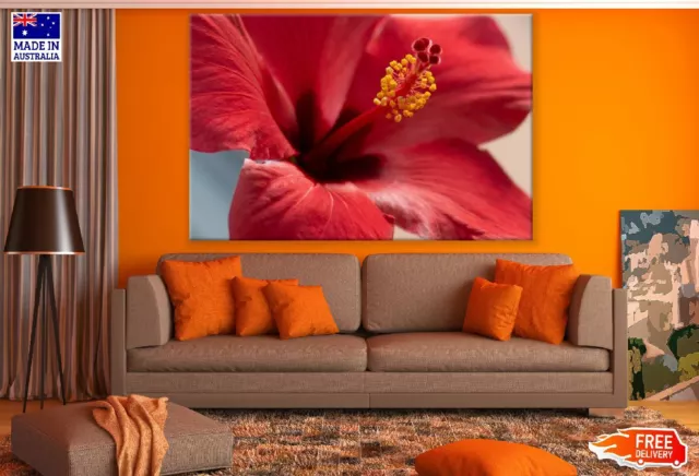 Red Hibiscus Flower Closeup View Wall Canvas Home Decor Australian Made Quality 2