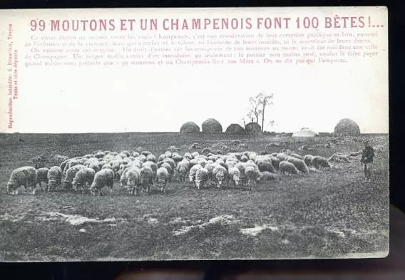 99 Moutons  Le Berger Et Les Moutons   400  Etc