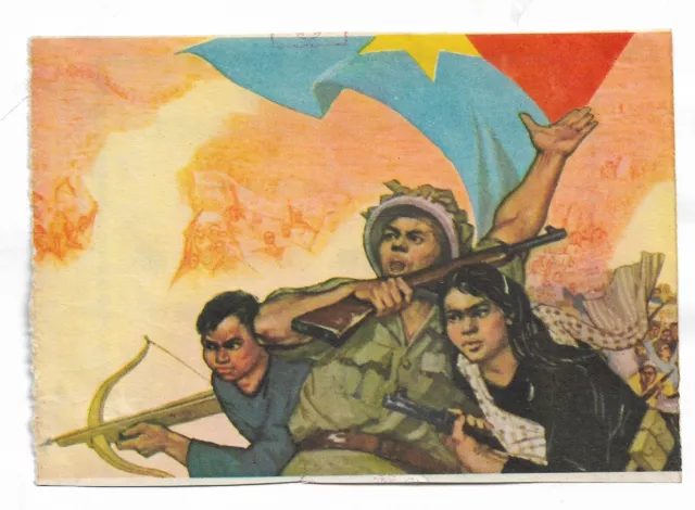 Orig. Guerrilla Girl Army M1 Carbine Flag Viet Cong Print Vietnam War Art Sheet