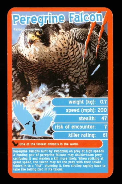 1 x info card deadliest predator Peregrine Falcon - R114