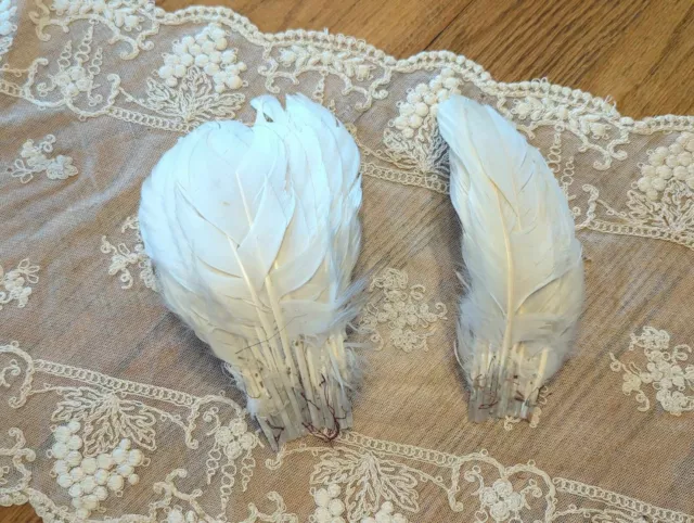 Antique Victorian Edwardian Titanic 19teens 1920s White Millinery Feathers