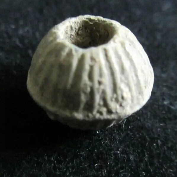 Ancient Byzantine Lead Spindle Whorl Lot B10