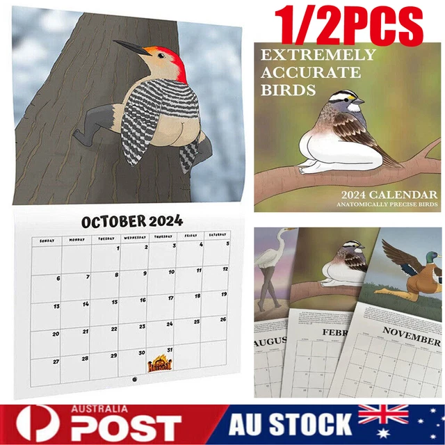 FUNNY 2024 CALENDAR of Extremely Accurate Birds Wall Calendar Animal ...