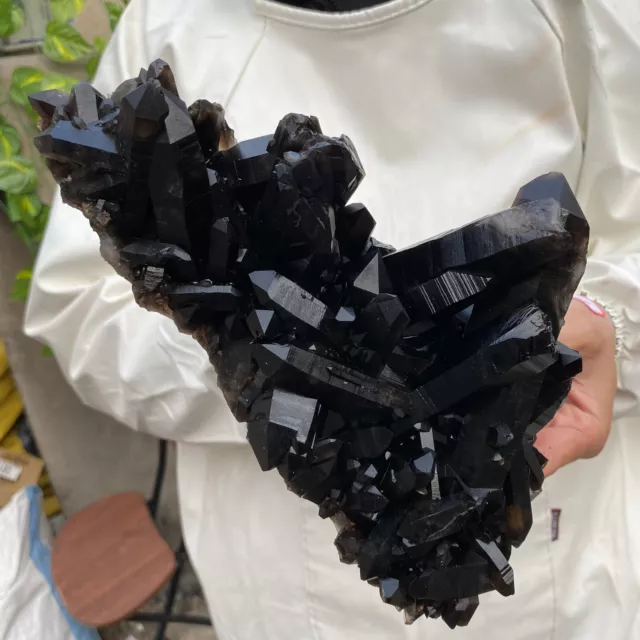 4.9lb Large Natural Black Smoky Quartz Crystal Cluster Raw Mineral Specimen