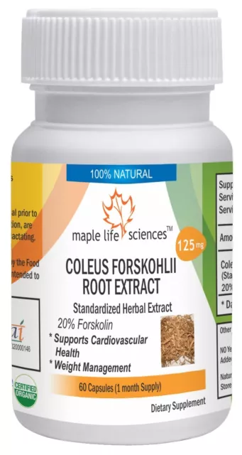 Coleus Forskohlii Extract 20% Forskolin for Weight loss  healthy heart & lung