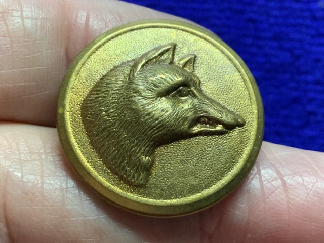 DRAMATIC GROWLING FOX HEAD (VERY RAISED) 26mm BRASS SPORTING COAT BUTTON c 1870s