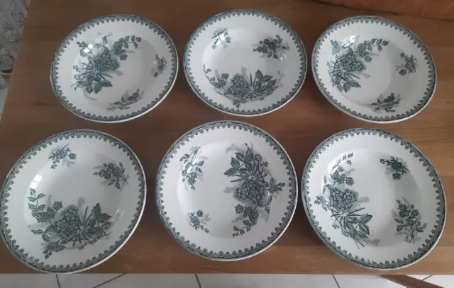 TOP + SUPERBE LOT DE 6 ASSIETTES CREUSES TERRE DE FER AMANDINOISE  Modèle MARGOT