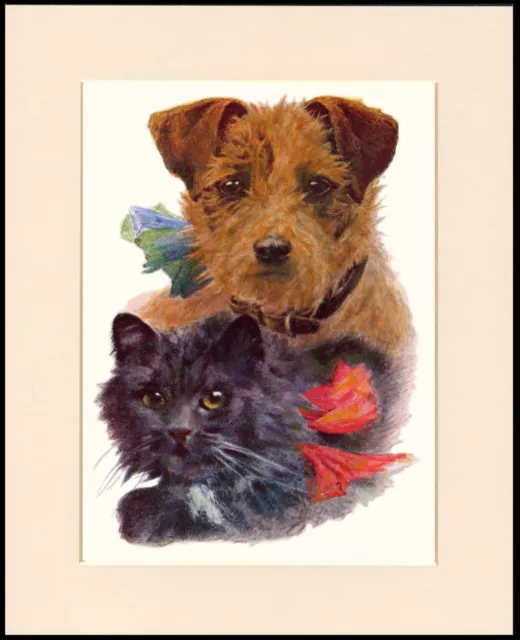 Border Terrier And Kitten Lovely Dog Print Mounted Ready To Frame