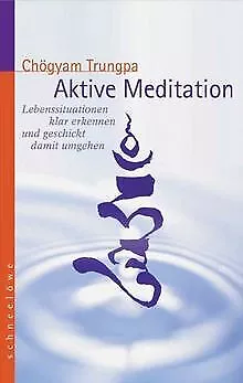 Aktive Meditation: Lebenssituationen klar erkennen und g... | Buch | Zustand gut