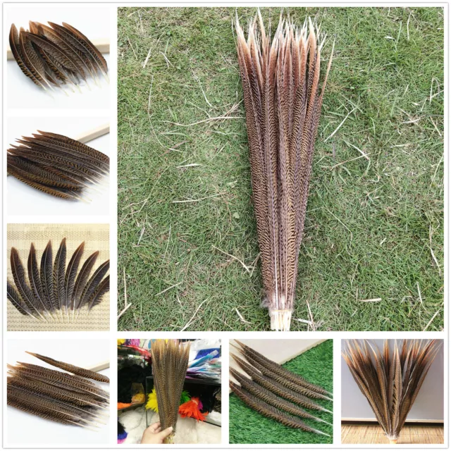 Wholesale 10/50/100pcs Natural Golden Pheasant Tail Feathers 4-30 inch/10-75 cm