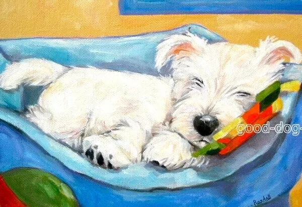 West Highland Terrier Print 4x6 Matted ACEO "Another Nap" Westie Dog Art Randall