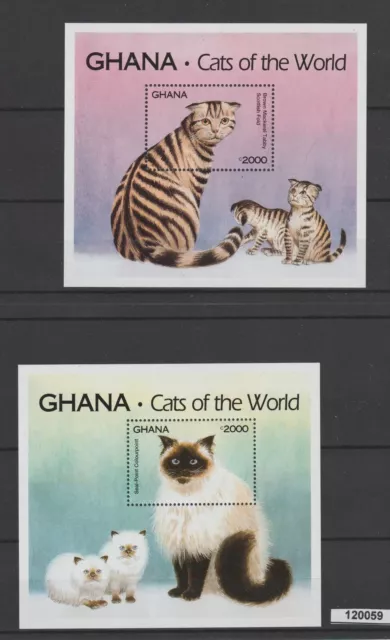Ghana 1994  Fauna  Gatti  2 Bf Mnh Mf120059