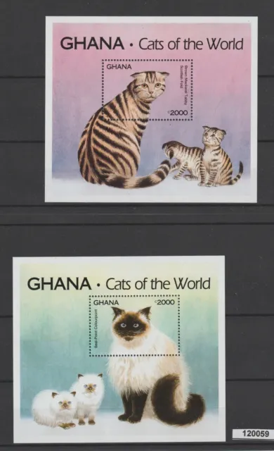 Ghana 1994 Fauna Katzen 2 Bf MNH MF120059