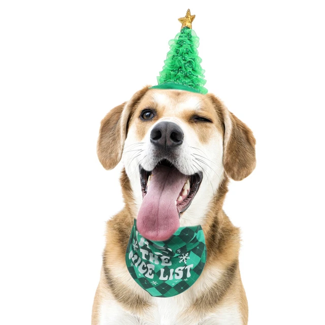 1 Juego Navidad Gorro Mascota y Bandana, Encantador