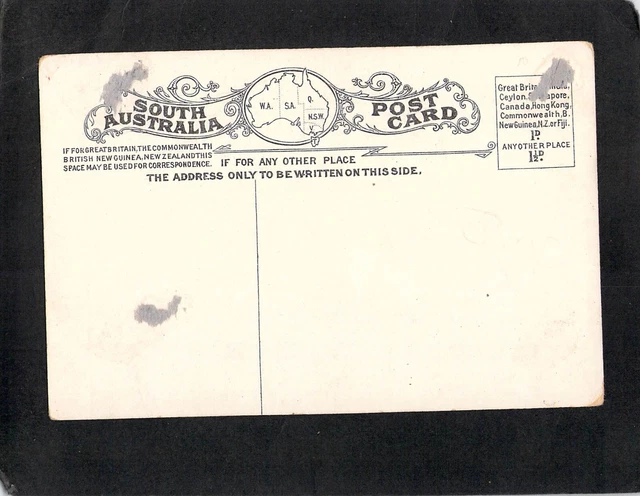 D4732 Australia SA Adelaide In The Botanic Gardens vintage postcard 2