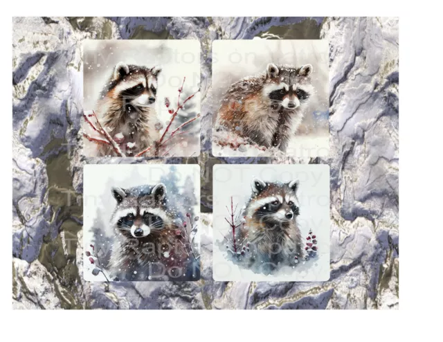 Raccoon themed neoprene drink coasters, set of 4, CHOICE, absorbent, gifts