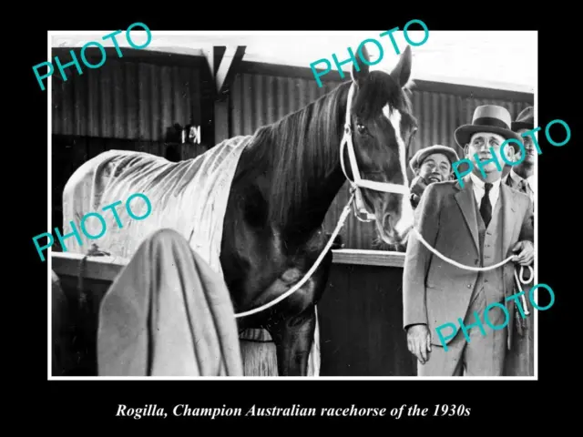 OLD LARGE HORSE RACING PHOTO OF ROGILLA CHAMPION RACE HORSE OF THE 1930s 2