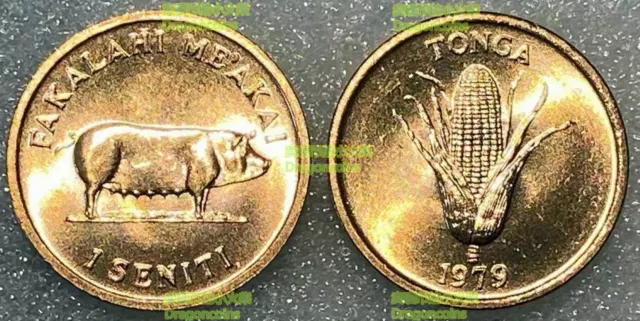Tonga 1 seniti cent 1979 sow pig and corn 18mm bronze coin UNC