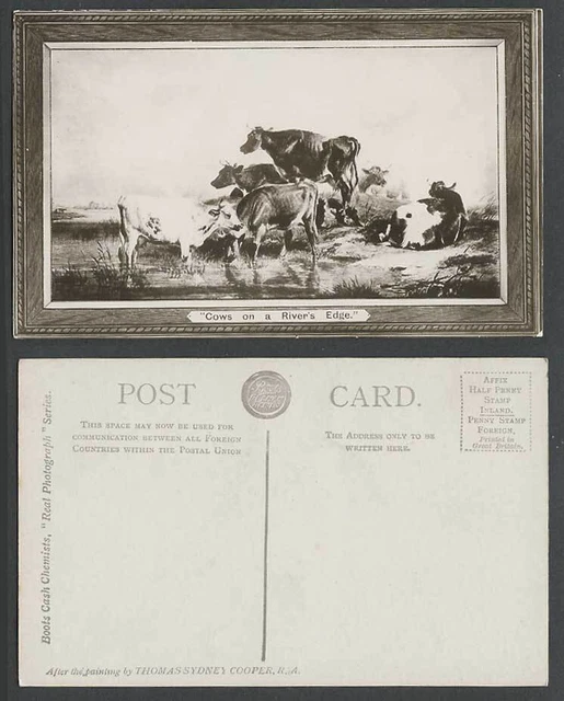 Thomas Sydney Cooper Artist, Cows on a River's Edge, Cattle Animals Old Postcard